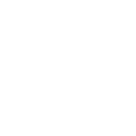 Audit Icon