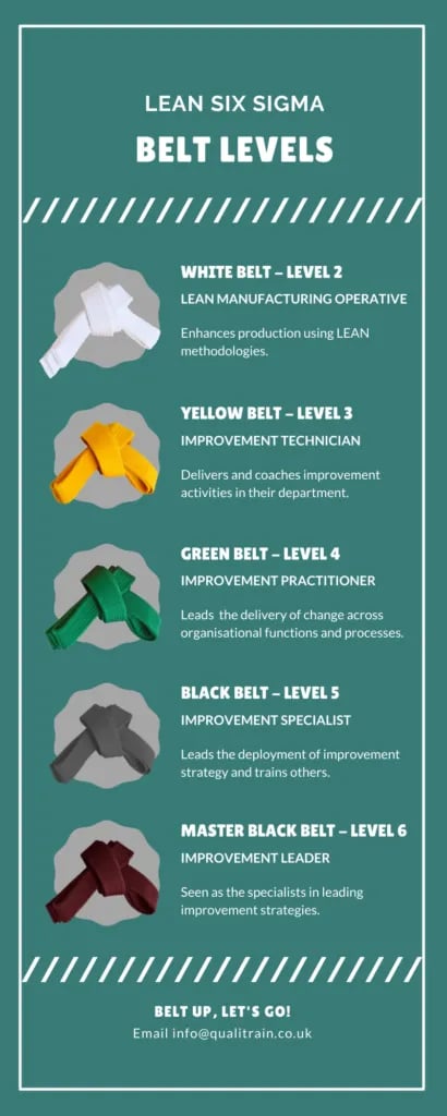 Lean Six Sigma Belt Levels