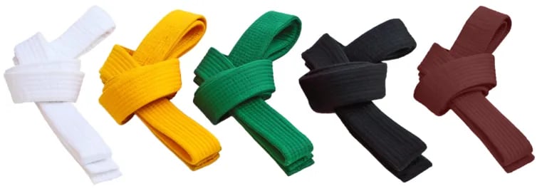 Lean Six Sigma Belts