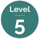 Level-5-150x150