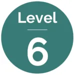 Level-6-150x150